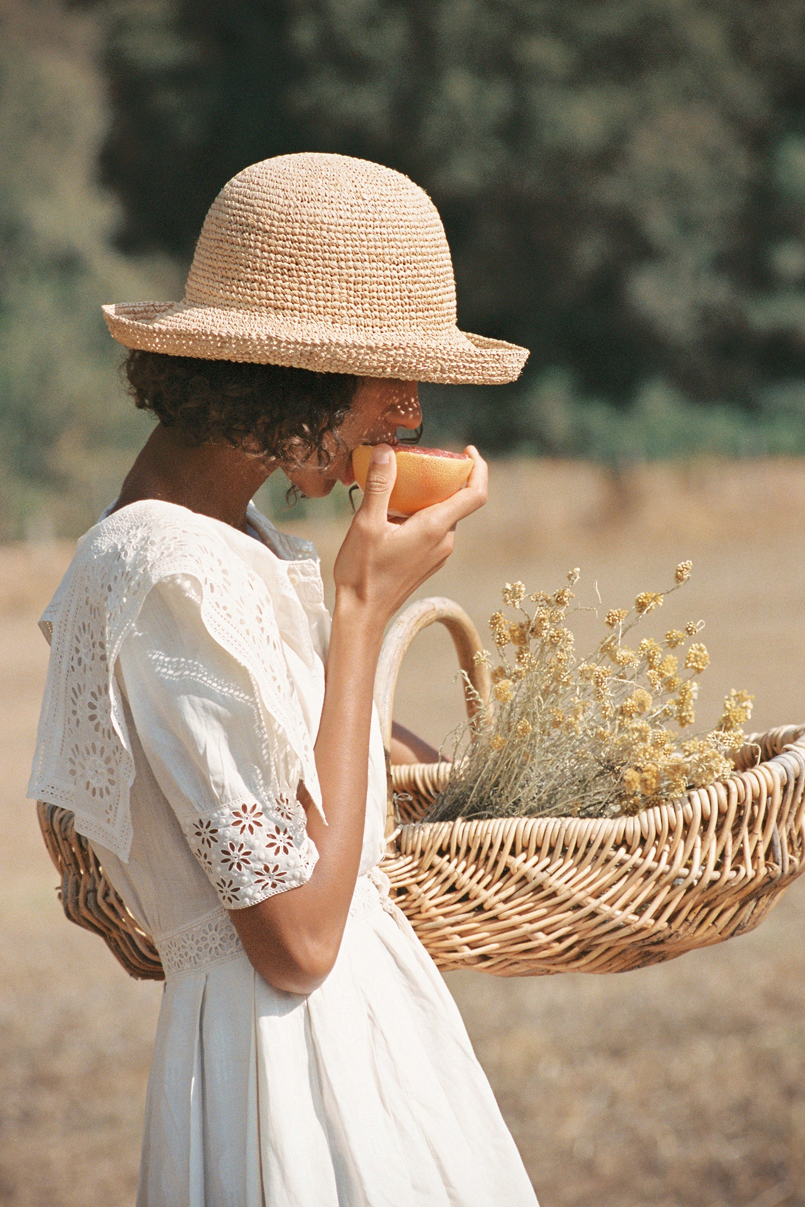 Raffia Cruiser - Image 4