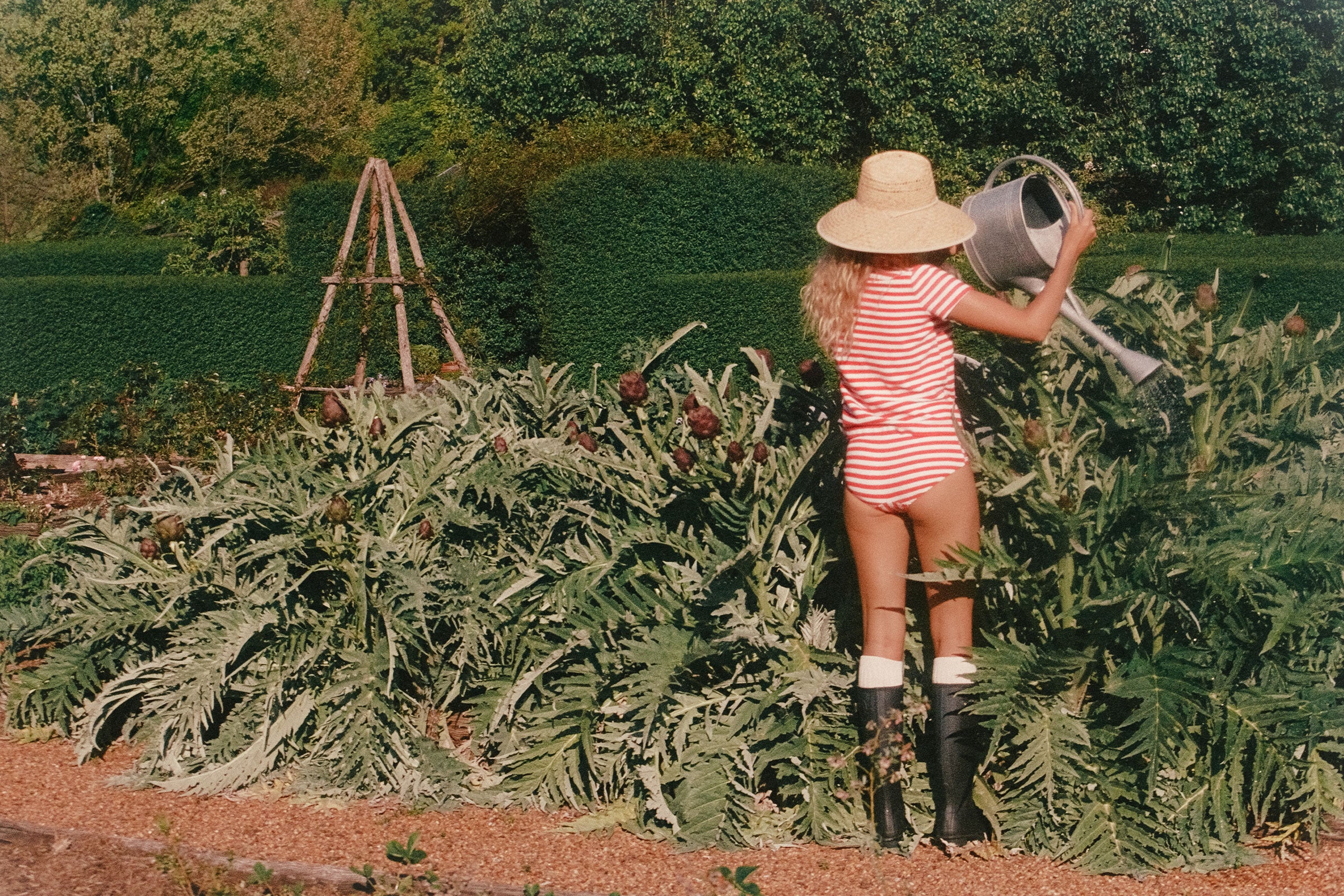 The Vista - Image 7